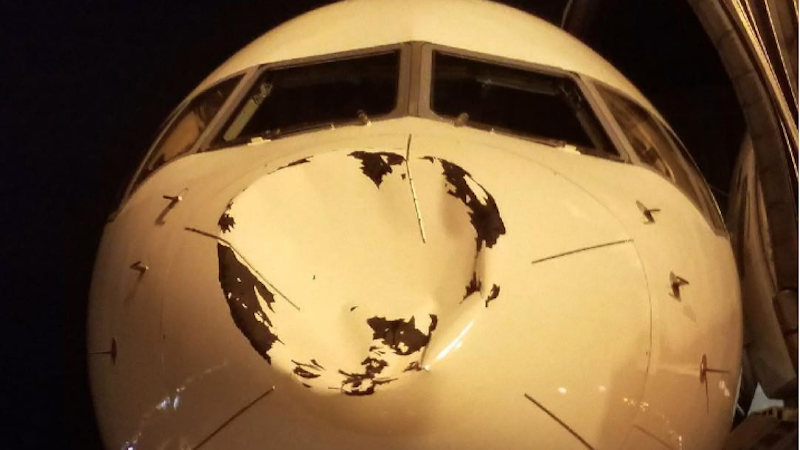 Illustration for article titled Qué pasa realmente cuando un pájaro impacta contra un avión